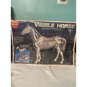 Skilcraft Visible Horse Anatomically Accurate Equine New Sealed Box Dented